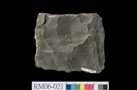 Meta-sandstone Collection Image, Figure 7, Total 9 Figures